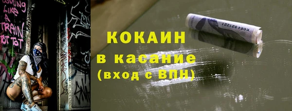 ECSTASY Алзамай
