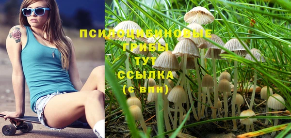 прущий лед Алексин